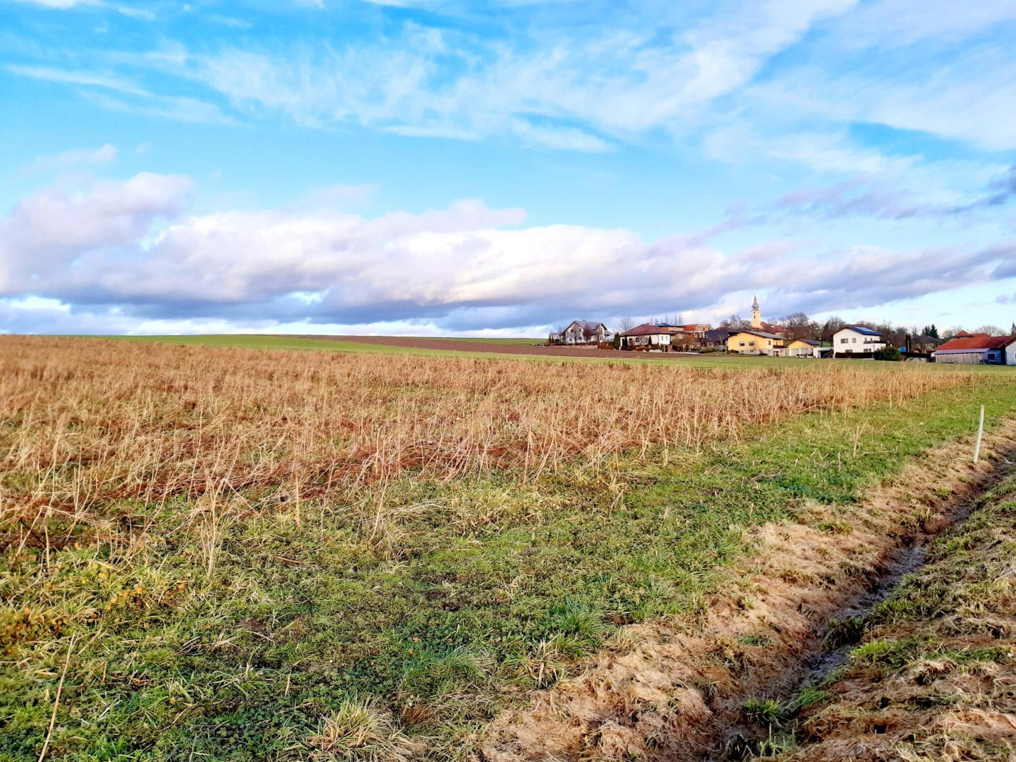 Schoene Altbauwohnung Auf Dem Land Kallham Bagian luar foto